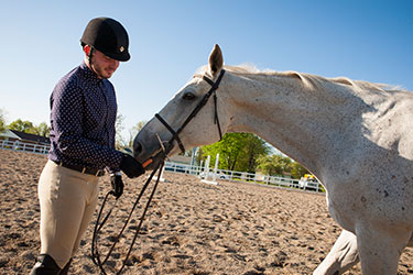 Graduate Programs Online