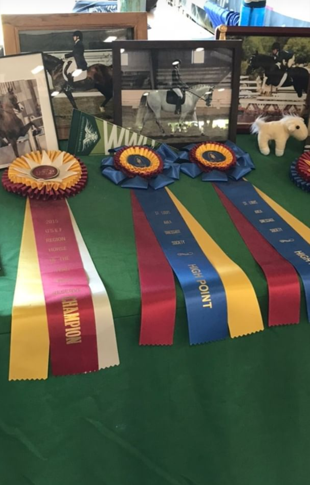 WWU booth at a college fair with horse show ribbons