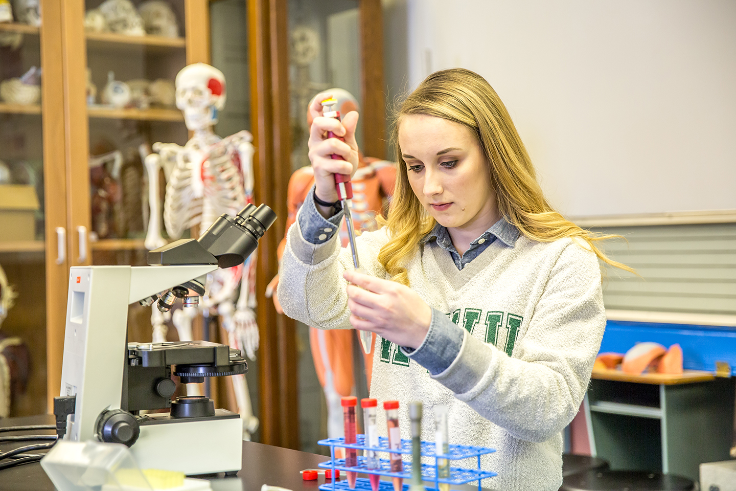 Science Undergraduate Programs