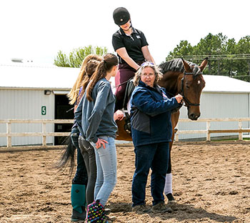 Equestrian Studies Undergraduate Programs