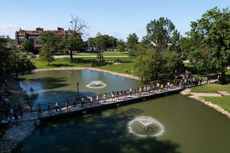 Our Commitment to Education