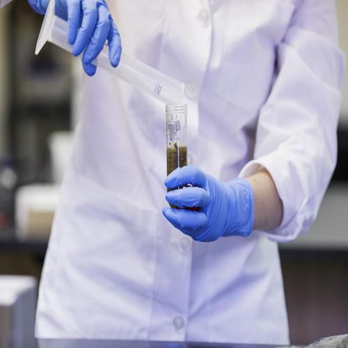 Science Undergraduate Programs