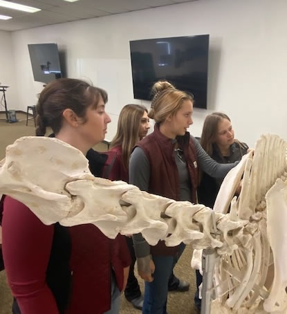 Equestrian <br>Science