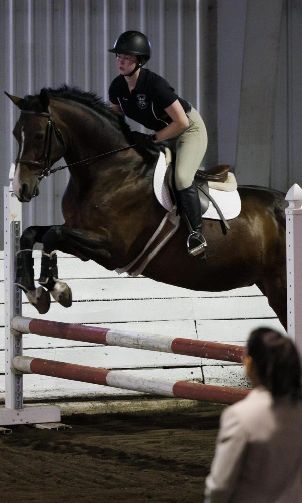 Equestrian Showcase_16A3725