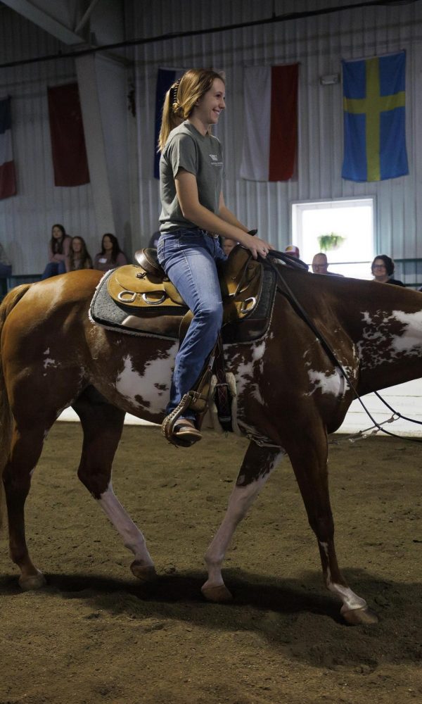 Equestrian Showcase_G7A6750