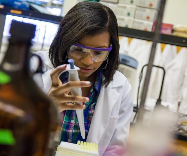 portfolio of a student