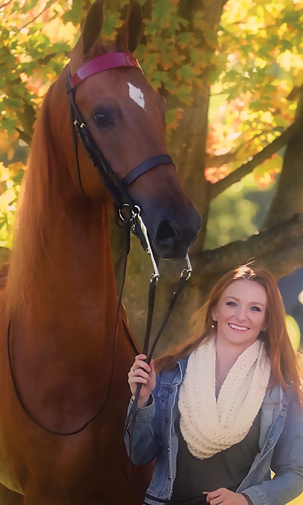 SADDLE SEAT1