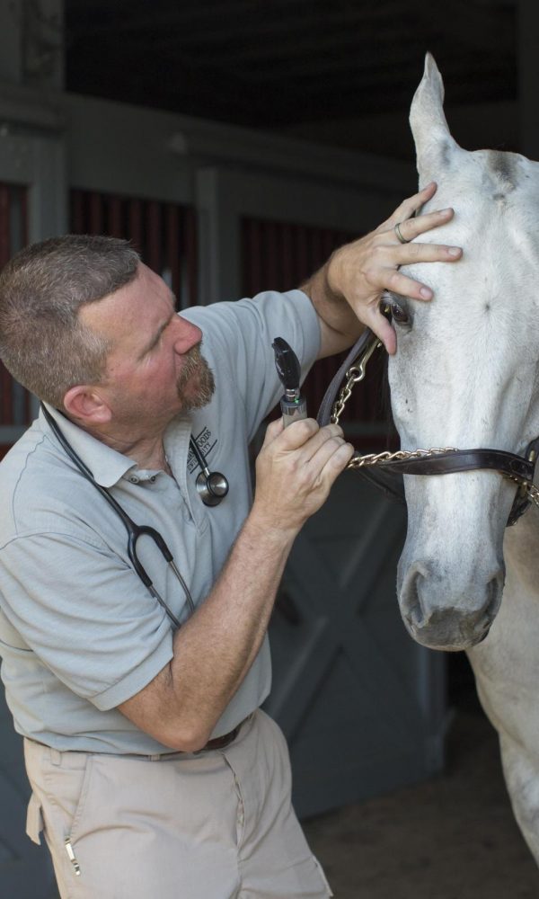 barnes-equestrian-shoot-116
